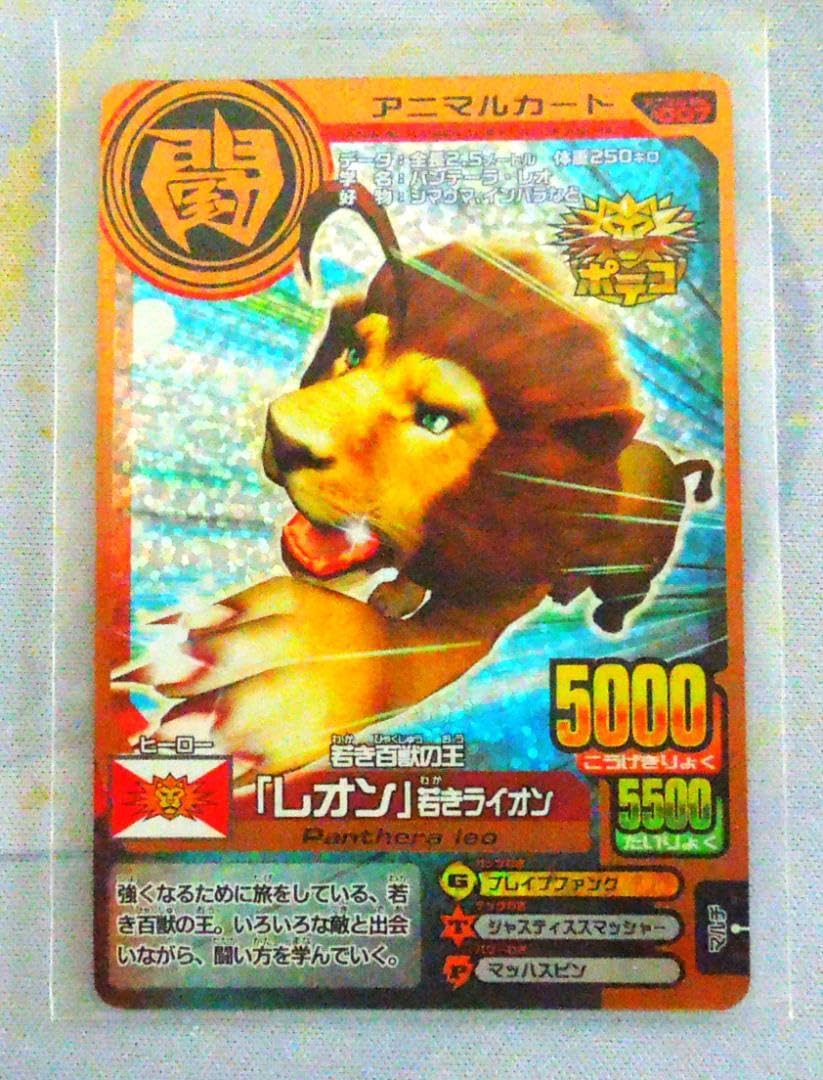 Amazon.co.jp: アニマルカイザー レオン 若き百獣の王 ポテコ